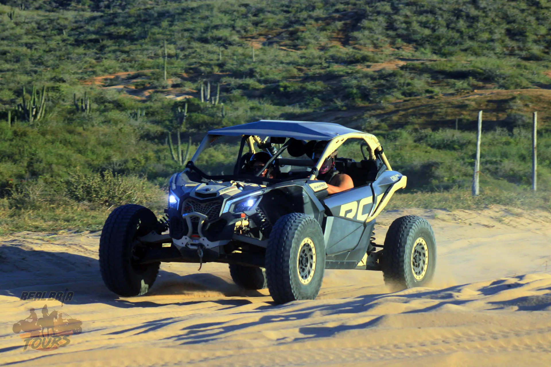 Can Am x3 Blue buggy on sandy desert trail with saguaro cacti and desert vegetation in Baja California Sur