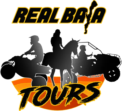 Real Baja Tours
