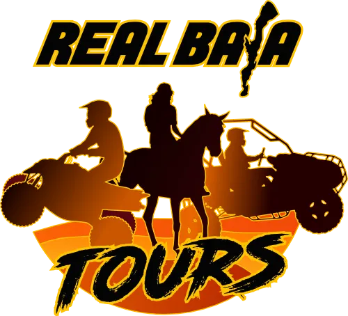 Real Baja Tours